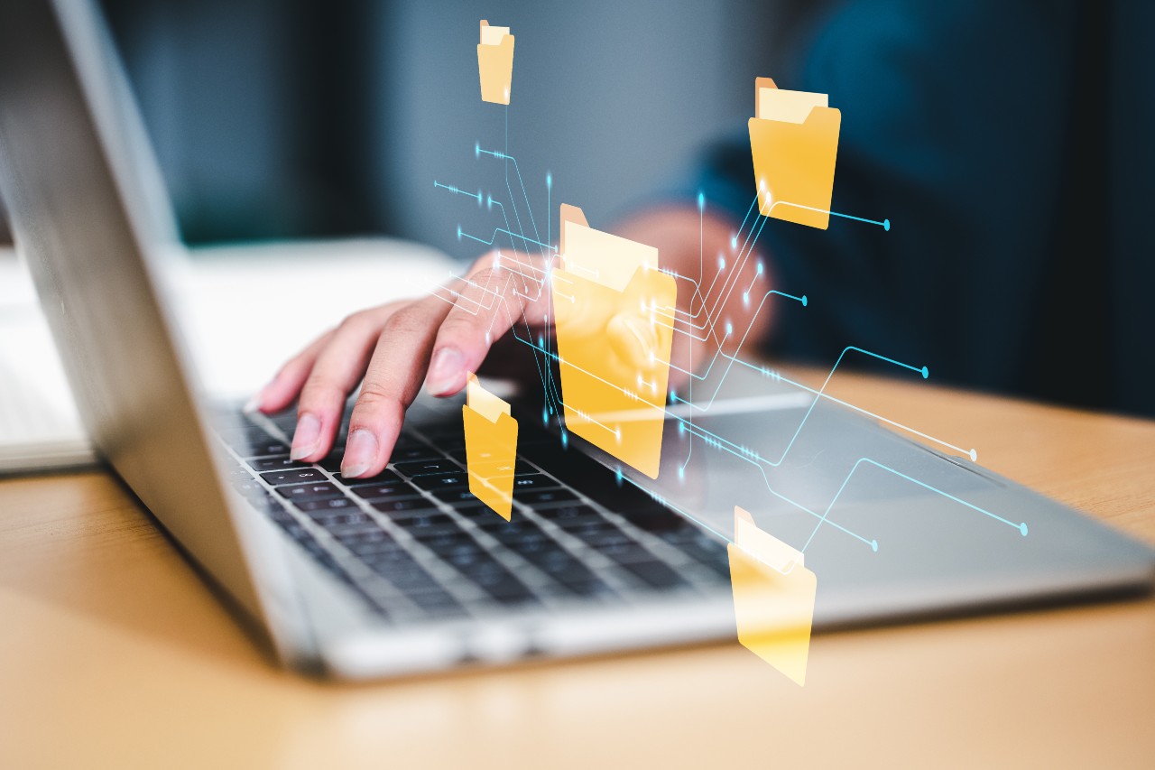 Case Management Systems